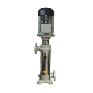 MSV 2