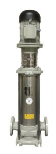 MSV inline e1747042407797